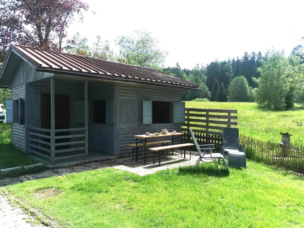 AnNo - Wohlfühlen am Bachal in Altschönau Neuschönau Exterior foto