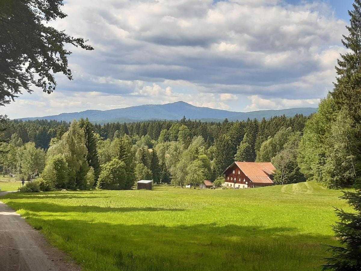 AnNo - Wohlfühlen am Bachal in Altschönau Neuschönau Exterior foto